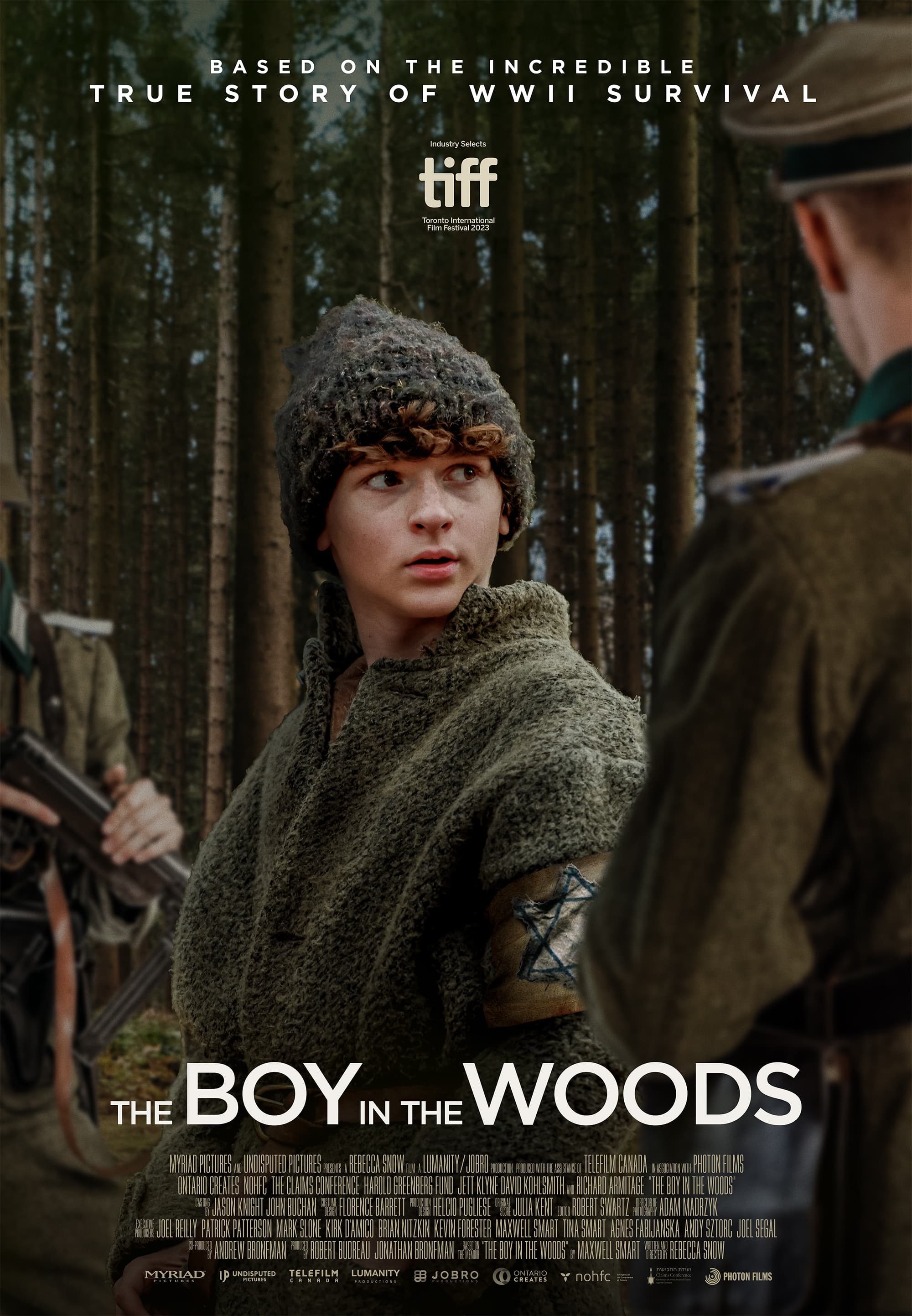 Ver detalles de  The Boy in the woods